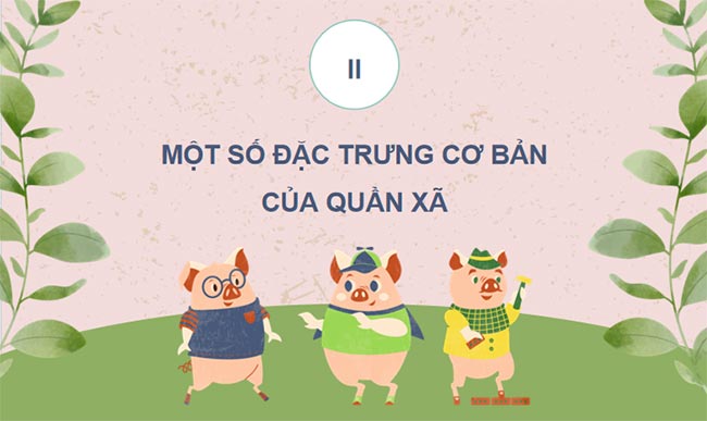 Quần xã sinh vật
