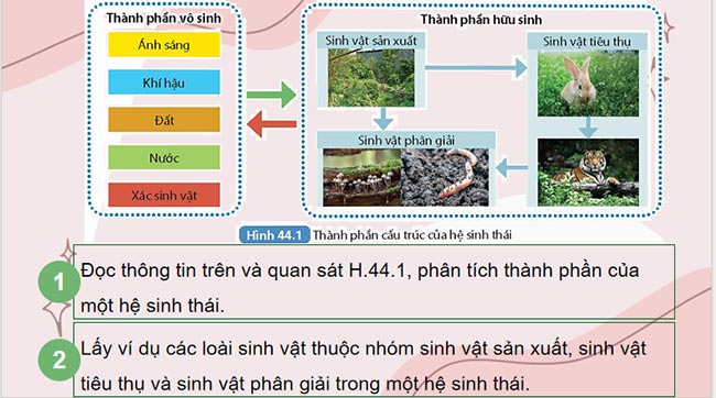 Giáo án PowerPoint Khoa học tự nhiên 8 Bài 44