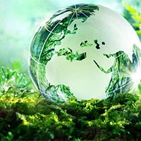 PowerPoint Khoa học tự nhiên 8 Bài 45: Sinh quyển