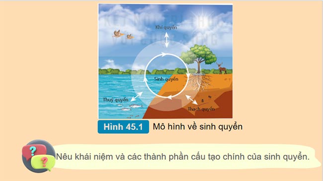  PowerPoint Khoa học tự nhiên 8 Bài 45