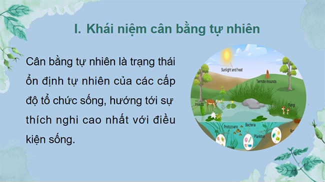 KHTN 8 Bài 46 Cân bằng tự nhiên