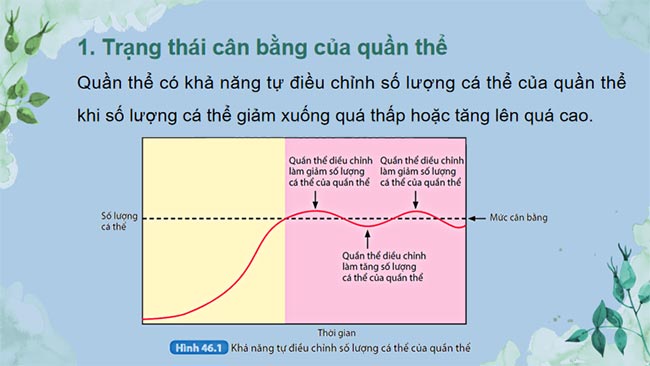 KHTN 8 Bài 46 Cân bằng tự nhiên