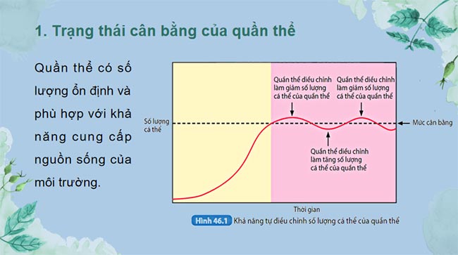 KHTN 8 Bài 46 Cân bằng tự nhiên