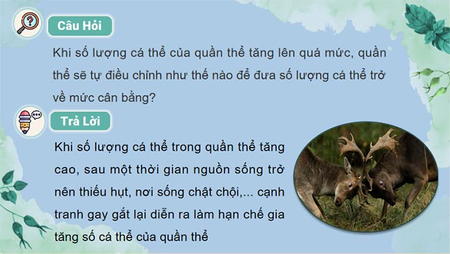 KHTN 8 Bài 46 Cân bằng tự nhiên