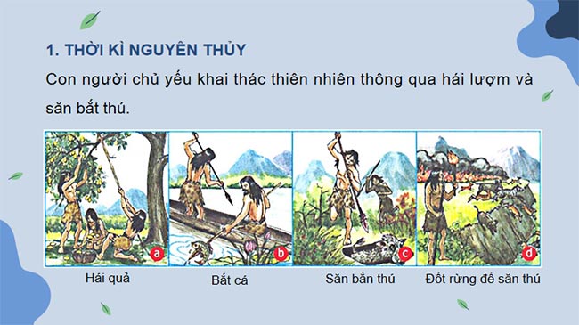 KHTN 8 Bài 47 Bảo vệ môi trường