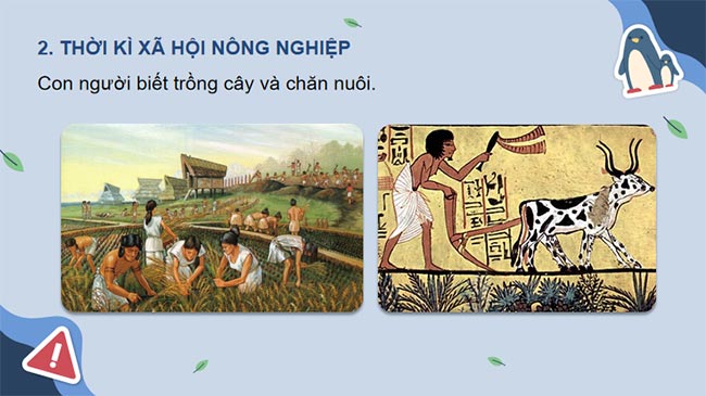 KHTN 8 Bài 47 Bảo vệ môi trường