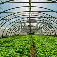 PowerPoint Hoạt động trải nghiệm 7 Chủ đề 7: Góp phần giảm thiểu hiệu ứng nhà kính