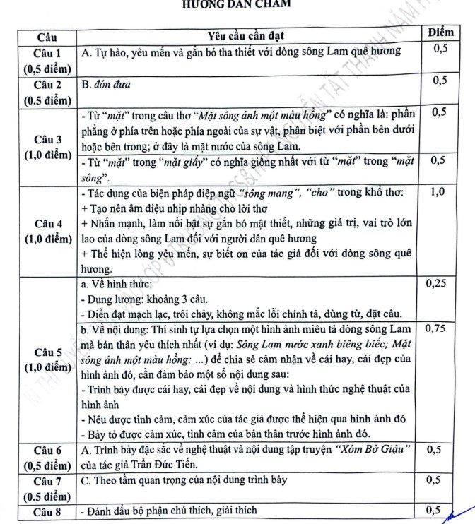 Đề tham khảo thi vào lớp 6 môn Tiếng Việt Nguyễn Tất Thành