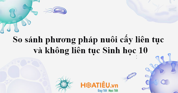  So sánh phương pháp nuôi cấy liên tục và không liên tục Sinh học 10