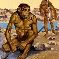 PowerPoint Lịch sử 6 Bài 3: Nguồn gốc loài người