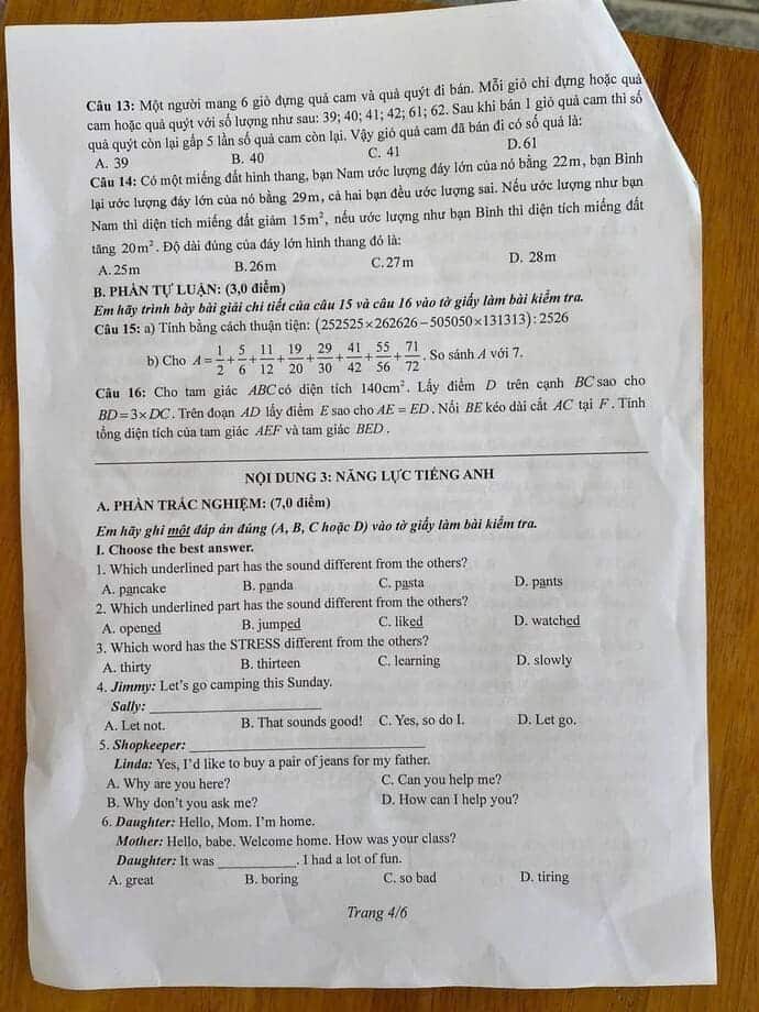 de thi vao lop 6 truong thcs le van thiem 4*421677