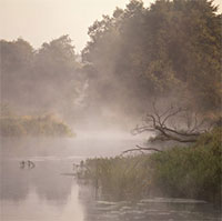 Phân tích tác phẩm Chiều sương 