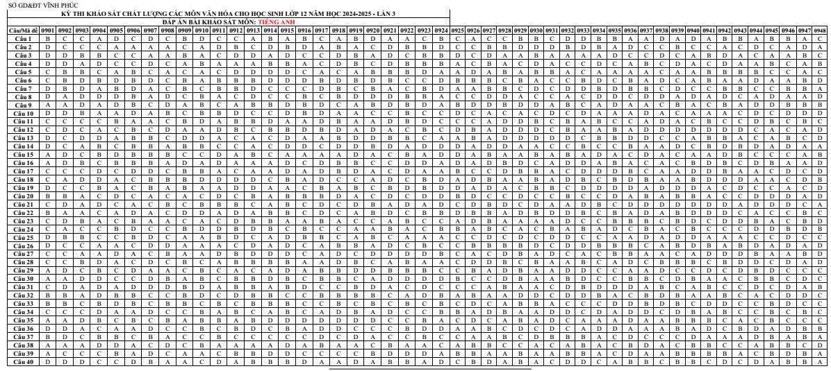 Đáp án đề KSCL Tiếng Anh 12 sở Vĩnh Phúc lần 3 2025