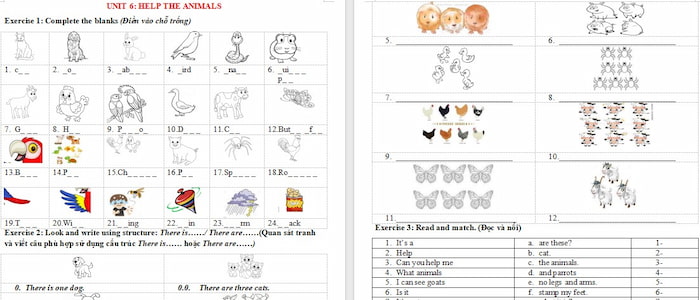 Bài tập bổ trợ Tiếng Anh 3 Discovery Học kì 2