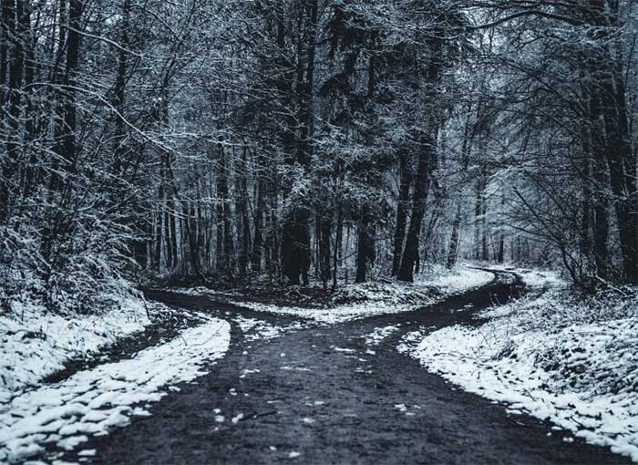 Thuyết minh bài thơ Con đường không chọn