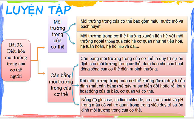 Điều hòa môi trường trong của cơ thể người