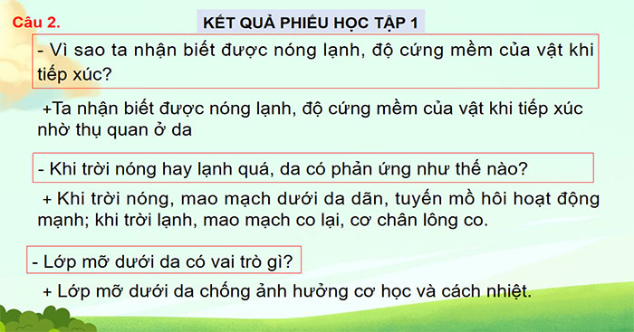 Da và điều hòa thân nhiệt ở người