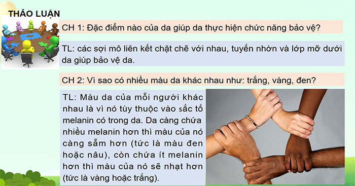 Da và điều hòa thân nhiệt ở người