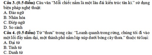 Đề minh họa đánh giá năng lực vào lớp 6 trường Lômônôxốp