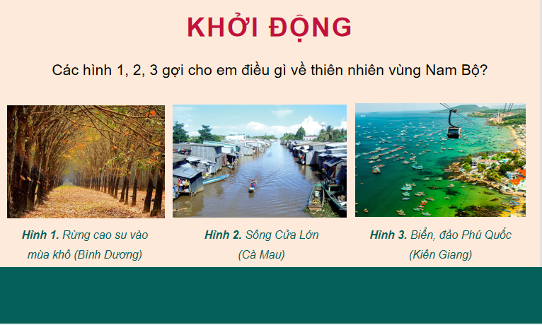 PowerPoint Lịch Sử và Địa Lí 4 Bài 23