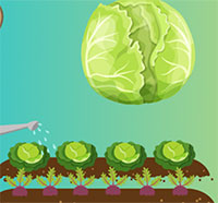 Giáo án mầm non: Dạy hát Bắp cải xanh