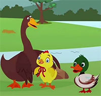 Giáo án mầm non: Gà trống và Vịt bầu