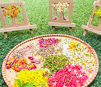 Giáo án mầm non: Làm tranh hoa hồng