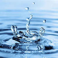 PowerPoint Khoa học 4 Bài 1: Một số tính chất và vai trò của nước