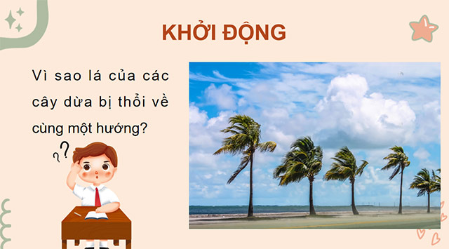 PowerPoint Gió, bão