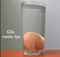 Giáo án mầm non: Thí nghiệm Trứng nổi trên nước
