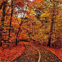 So sánh, đánh giá bài thơ Đây mùa thu tới (Xuân Diệu) và Đất nước (Nguyễn Đình Thi) 