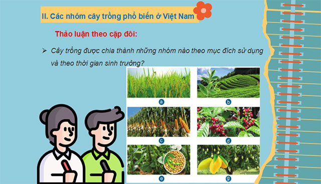 Giới thiệu chung về trồng trọt