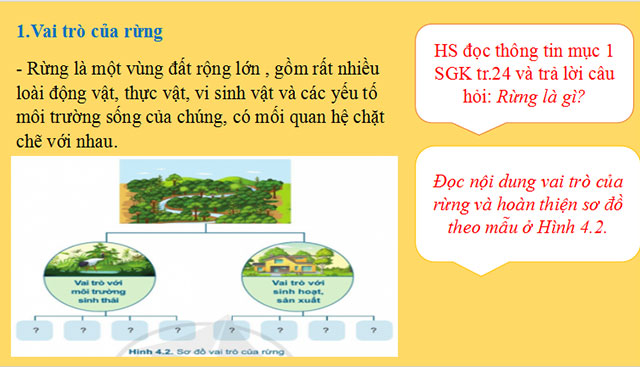 Giới thiệu chung về rừng
