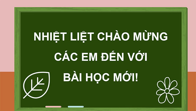 PowerPoint Sự lớn lên và phát triển của thực vật