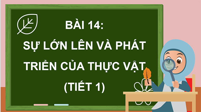 PowerPoint Sự lớn lên và phát triển của thực vật