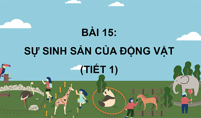 PowerPoint Sự sinh sản của động vật