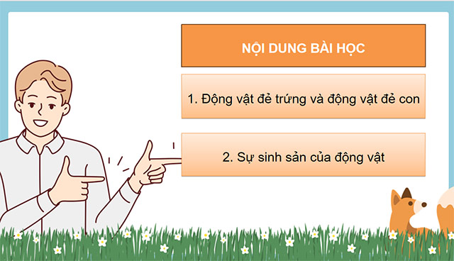 PowerPoint Sự sinh sản của động vật