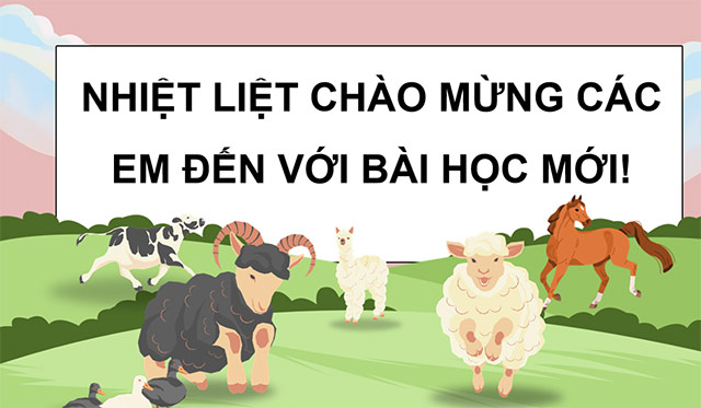 PowerPoint Sự lớn lên và phát triển của động vật