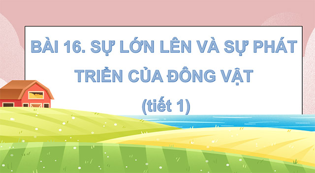 PowerPoint Sự lớn lên và phát triển của động vật