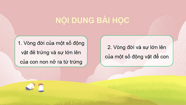 PowerPoint Sự lớn lên và phát triển của động vật