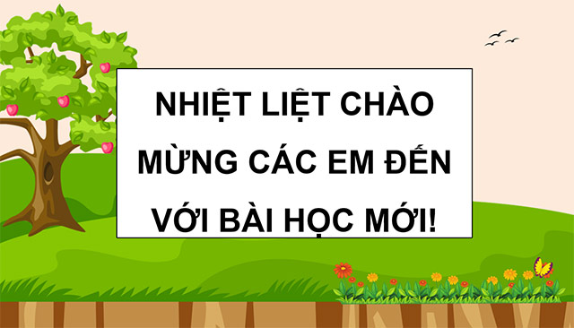 PowerPoint Ôn tập chủ đề Thực vật và động vật