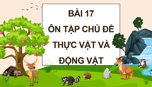 PowerPoint Ôn tập chủ đề Thực vật và động vật