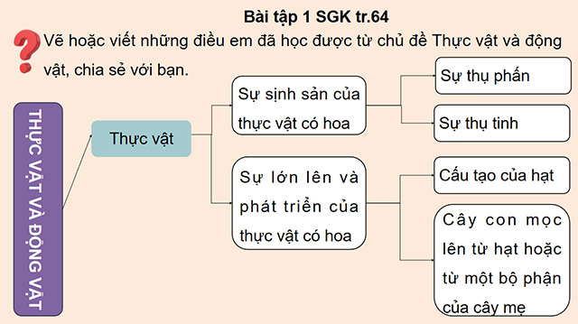 PowerPoint Ôn tập chủ đề Thực vật và động vật