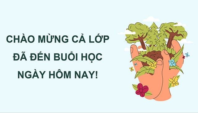 PowerPoint Tác động của con người đến môi trường