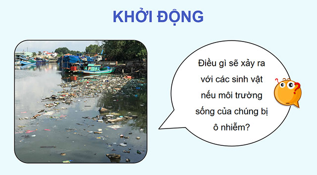 PowerPoint Tác động của con người đến môi trường