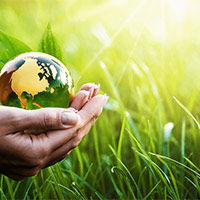 PowerPoint Khoa học 5 Bài 30: Ôn tập chủ đề Sinh vật và môi trường