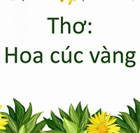 Giáo án mầm non: Bài thơ Hoa cúc vàng