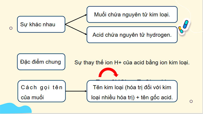 Giáo án PowerPoint Khoa học tự nhiên 8 Bài 11