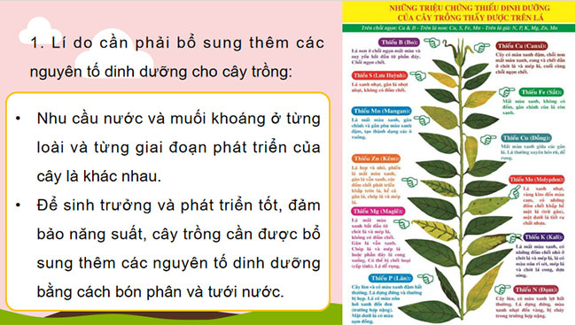 Phân bón hóa học 