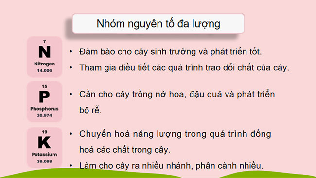 Phân bón hóa học 